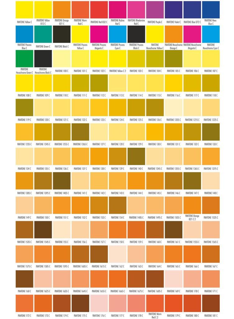 Pantone1-752x1024