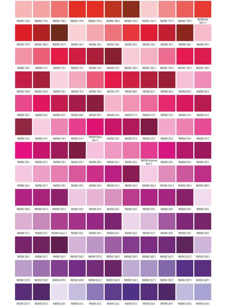 Pantone2-752x1024