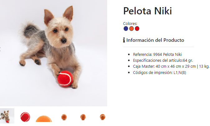 Personalised ball for dog