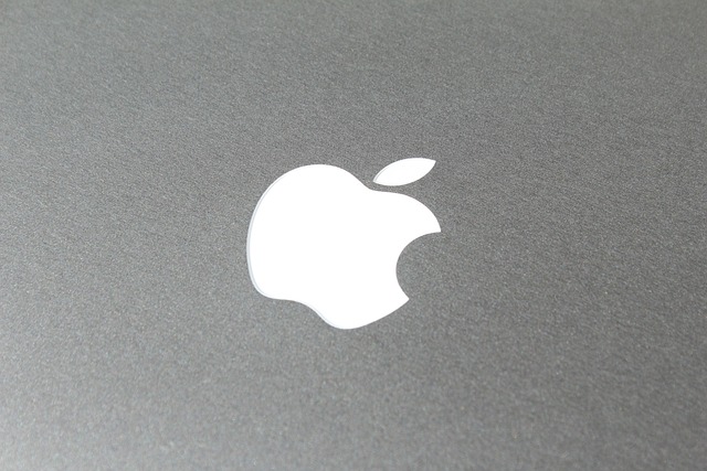 Logotipos